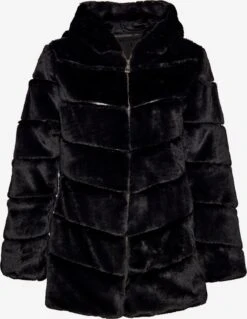 Wintermantels Wintermantel Dames Zwart