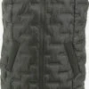 S.Oliver Bodywarmers Bodywarmer Dames Donkergrijs