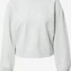 Abercrombie & Fitch Sweatshirts Sweatshirt TERRY Dames Lichtgrijs
