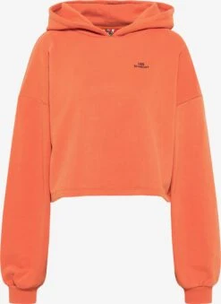 Hoodies Sweatshirt Dames Oranje